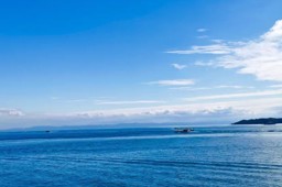 渠首淅川 一個中原看海的地方